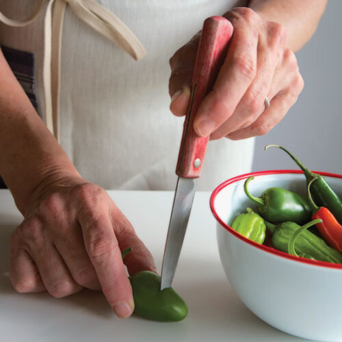 Quick Pickle Recipe